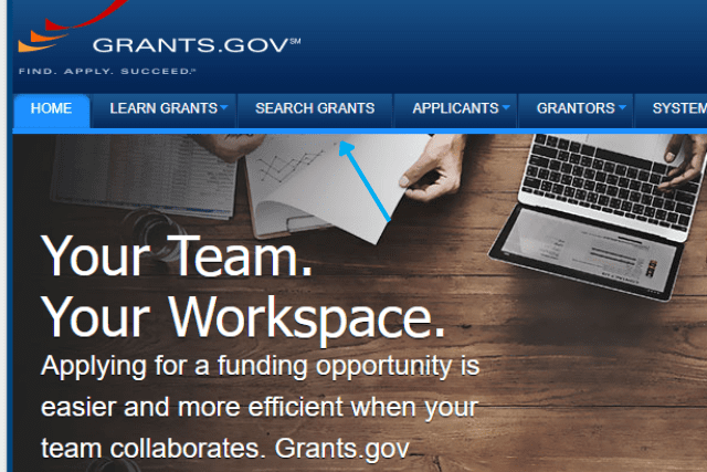 Search Grants example