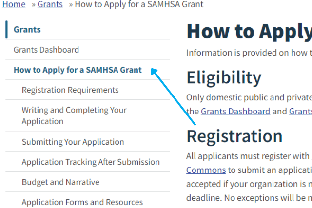 SAMHSA Grant example
